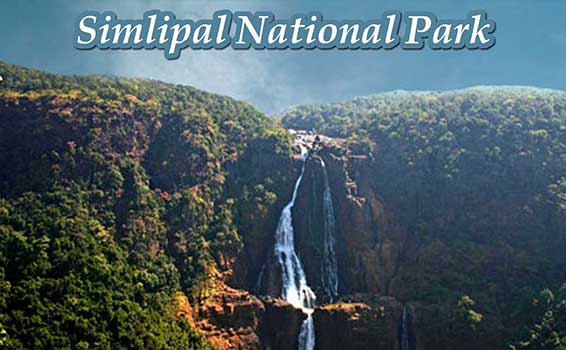simlipal national park, simlipal tiger reserve, simlipal waterfall